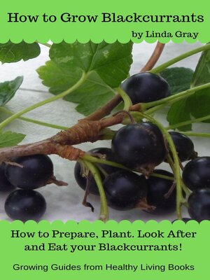 cover image of How to Grow Blackcurrants